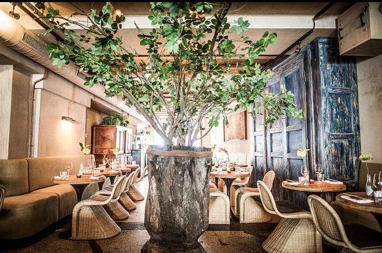 Ashoka - Amsterdam Centrum